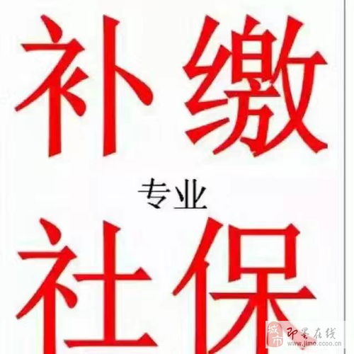 专业补缴本地社保与人力信息咨询服务指南